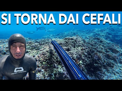 PESCASUB: CHE BELLO PESCARE SOTTOCOSTA! POSSONO FARLO TUTTI
