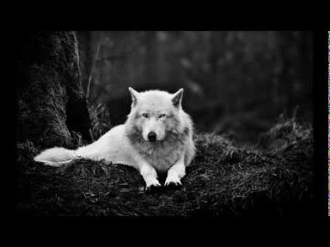 3XL Pro & Dj Ron May - Жаркое Лето (2013)