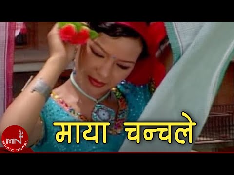 Nepali Songs Music Track Lok Dohori | Maya Chanchale