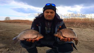 Ловля карасей на силикон