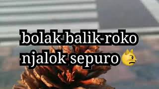 Download lagu Lirik lagu sing sepisan riko ska 86 mp3 Download lagu Lirik lagu sing sepisan riko ska 86 mp3