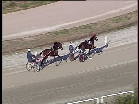 Trotto 28/12/2018 - prova di qualifica