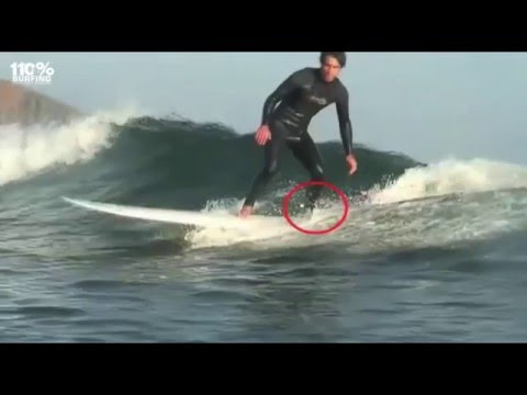 Surfing Basics - Pop Up, Drop, Trim & Turn. Goofy Version.
