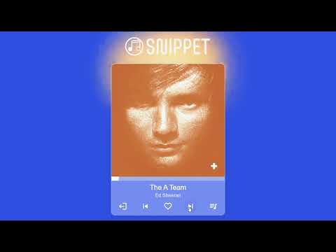 Check out the to see Snippet in action!