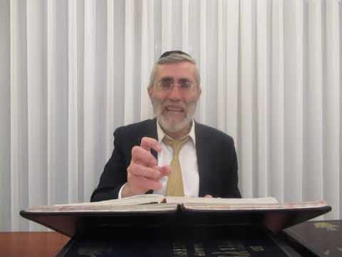 הרב יהושע ביבי - תשפ"ו - פסח - שיעור מס'' 003 - שעה''כ דף ע''ט אע''ב ד''ה וכבר וכו' בפגם הדעת דז''א