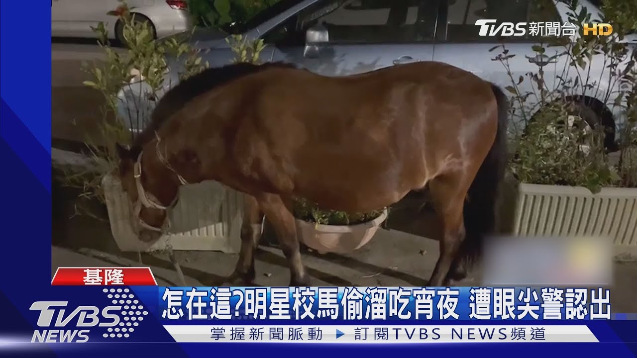 怎在這?明星校馬偷溜吃宵夜 遭眼尖警認出