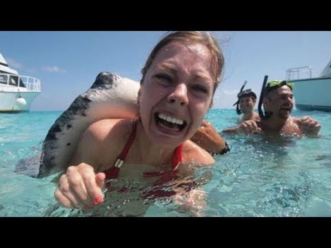 download lagu mp3 mp4 Quallen Trkei 2019, download lagu Quallen Trkei 2019 gratis, unduh video klip Quallen Trkei 2019