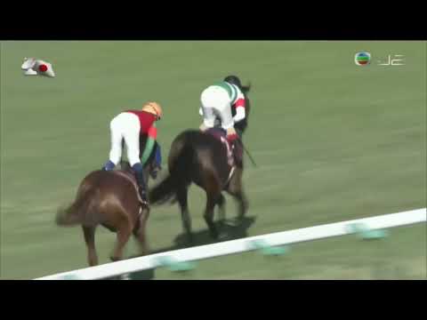 2016 Hopeful Stakes G2 - Rey de Oro (金之霸) - C.Lemaire