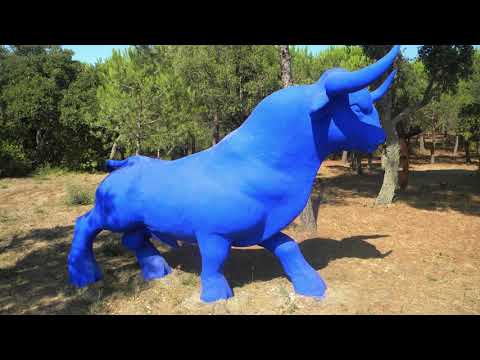 @ionbogdanstefanescu  Miroslav Tadic - Gajdarsko oro