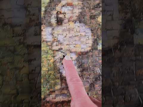 Bambi Photomosaic! #shorts #puzzle #jigsawpuzzles #disney #bambi