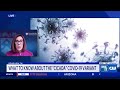 What To Know About The New Cicada COVID Variant And The Spread Of Hantavirus PHL17 Morning News