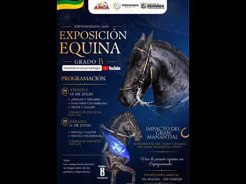 Exposición Equina grado B - GRANADA 2026 día 1