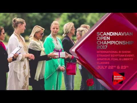 Promo Scandinavian Open 2017