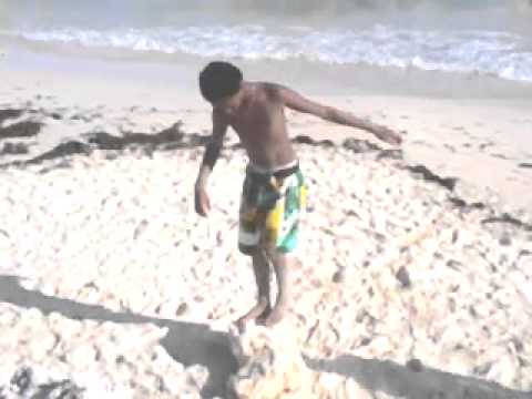 Backflip on the beach With LiilFaab
