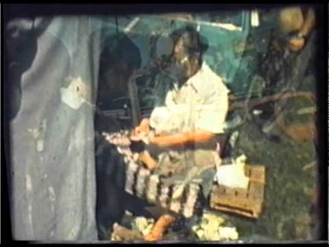 MARE TARG IN SATUL AVRAM IANCU 1978