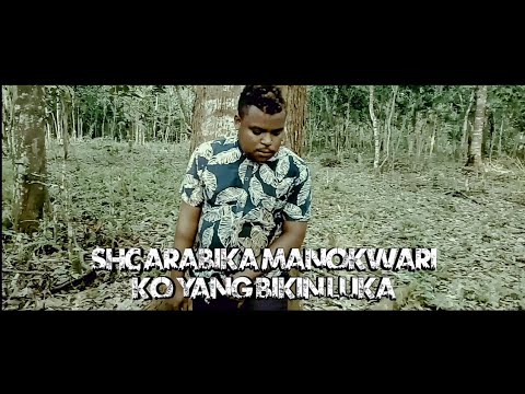 SHC ARABIKA MKW (ko yang bikin luka) official video music