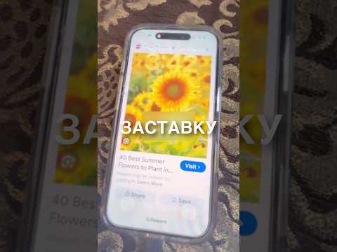 Обои на телефон 😂 #истории #история #новости #новость #shorts