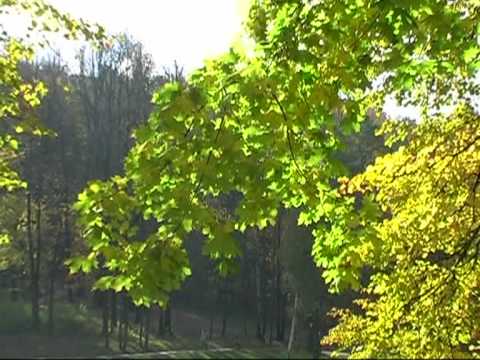 Gintarė Jautakaitė. Laiškas Mylimajam