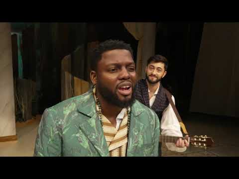 Twelfth Night at Chicago Shakespeare Theater