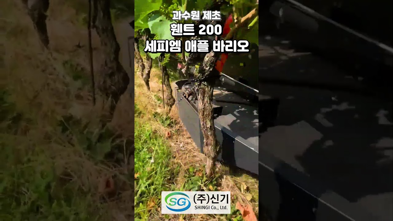 (주)신기 세피엠 애플바리오 + 휀트 200 제초 작업영상(캐피탈로 구매 가능)
