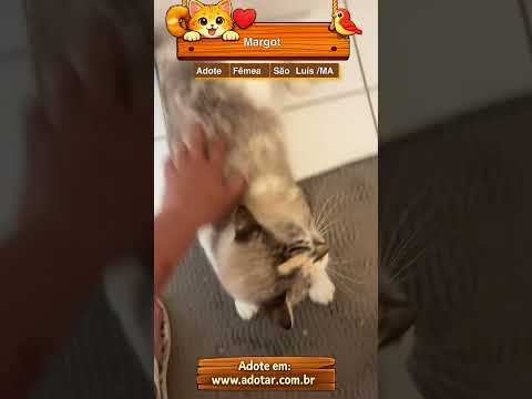Vídeo de Margot