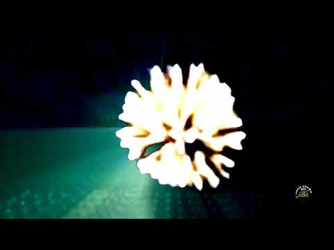 ACOUSTIC BENZOS ( by KAPAZUNDA )