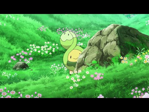 Eu acredito que vem o shiny