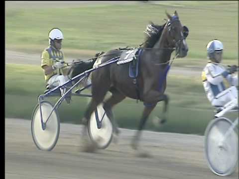 Trotto 10/06/2017 - 7ª corsa