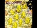 Dinosaur Jr - What was that
