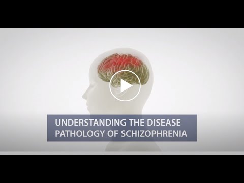 Understanding the Pathology of Schizophrenia