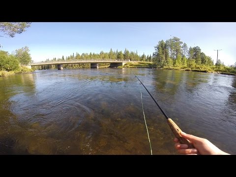 Perhokalastusta 2014