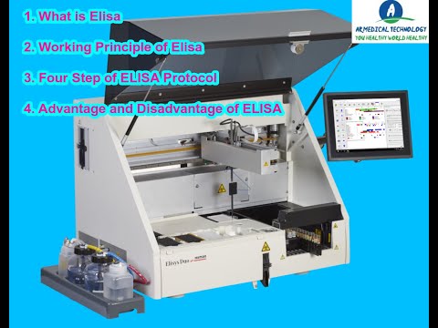 What is Microscope different types of microscope work advantage and working principle