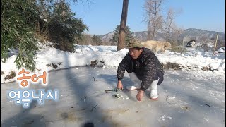 깊은 숲속 얼음 낚시터에서 송어 낚시-수중 촬영//Trout fishing at the ice fishing…