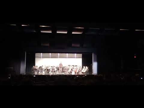 " MoonLight Shadows " - by Michael Kamuf. 🎻🎵🎼🎶❤️💐