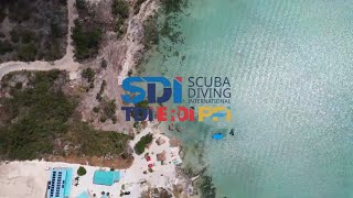 Belize Underwater: Coral Reefs, Sharks & Crystal-Clear Exploration