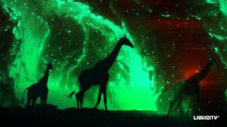Maduk & Nymfo - Africa video