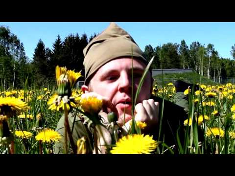 Hendrik P. Jaanusson video CV