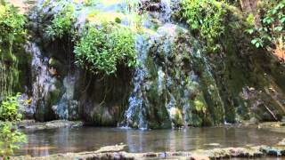 I Forget You Every Day, by Steve Wells