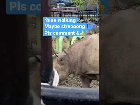 サイはどこに住んでいますか?