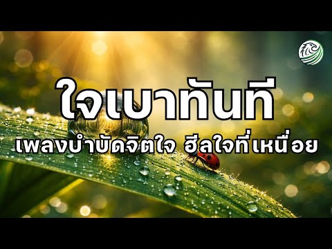 ดนตรีบำบัดความเครียด ช่วยคลายความหนักใจ ใจเบาทันที รู้สึกเบาสบายฮีลใจที่เหนื่อยล้ากลับมาสงบอีกครั้ง 