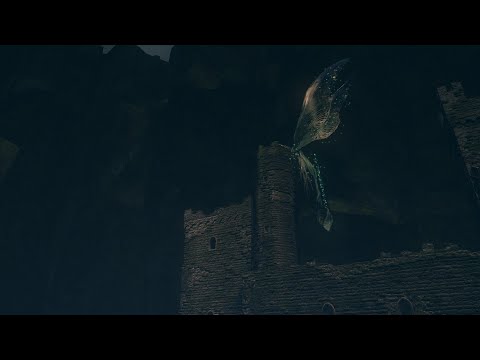 Dark Souls - The Haunted Tower of Darkroot Garden