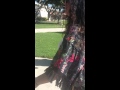 Walking Barefoot