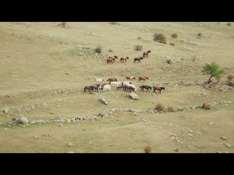 Saul - Na Očiach Vyryté ft. Viktor Sheen (Official Lyric Video)