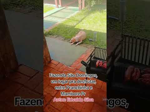 Entre Pranchinha e Mambore Pr