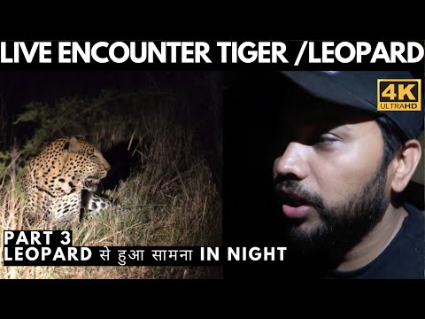 Night Drive Jim Corbett National Park - Live Encounter with Tiger 🐅 Leopard - Tiger Attack - Part 3