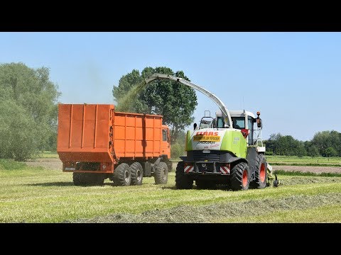 Claas Jaguar 900 Speedstar - Loonw. Neyt-Van Laere - gras hakselen