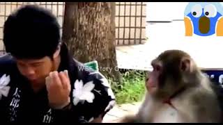 Download lagu Story wa Sunda lucu ' BOSS THR AYA BOSS mp3