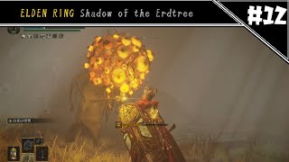 ほおずきちゃん……ではなかった　[ELDEN RING DLC#12]