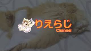 ・りえらじ#■■