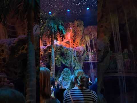 Casa Bonita cliff diving with a margarita #casabonita #cliffdiving #cliffdive #short #shorts